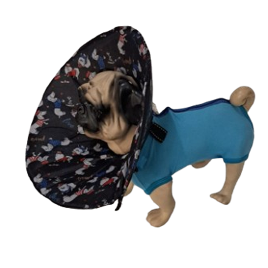 Colar elizabetano  protetor pet para cães  Pug/Buldog/Shih tzu