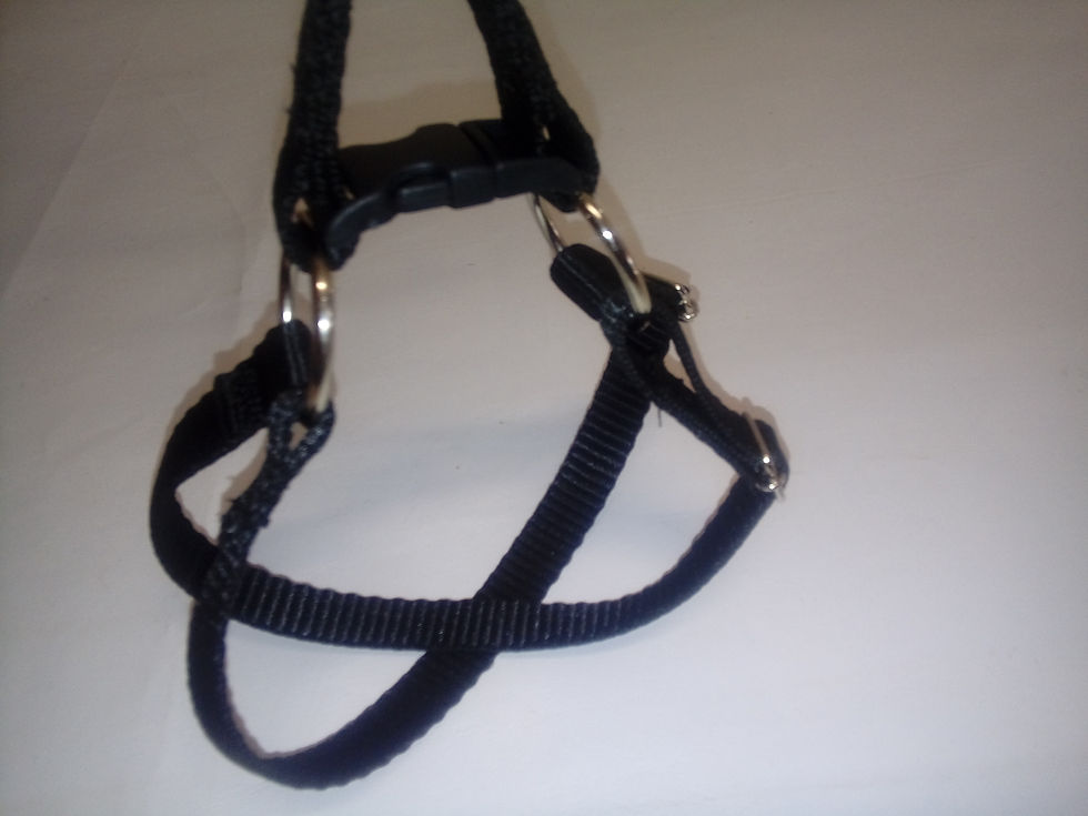 Miniatura: Peitoral Pet Em X E Guia Para Condução