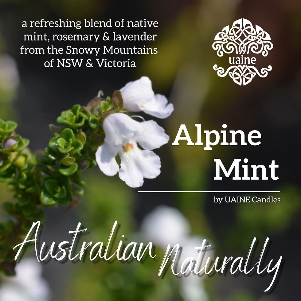 Alpine Mint Melts