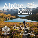 Alpine Mint 2026.jpg