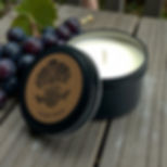 Travel Tin - Hunter Shiraz x 2