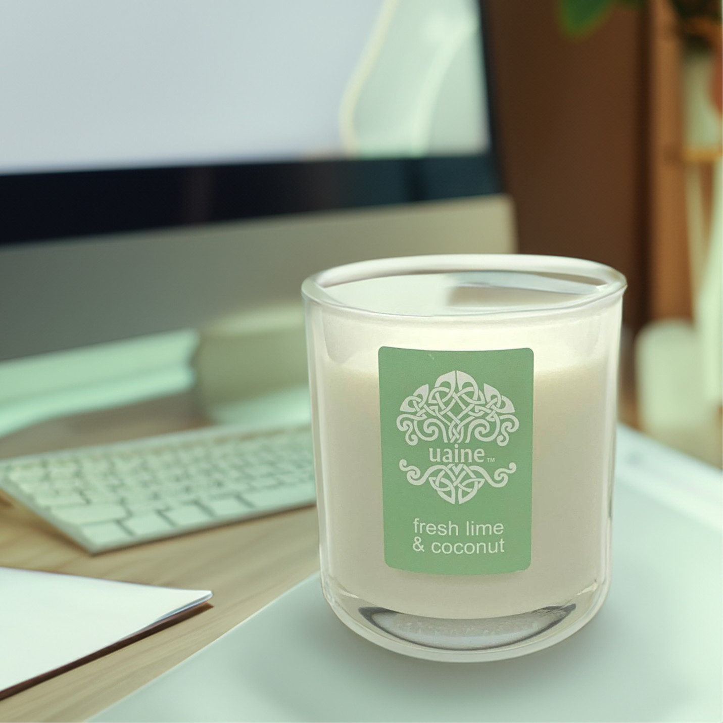 Hospitality Package Lifestyle - 12 x 70 hour candles