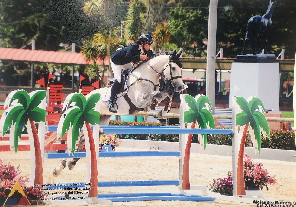 papitol dml horses