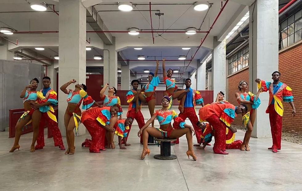 Miniatura: FUNDACION ARTÍSTICA BOMBA SALSERA