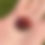 Thumbnail: Lady bugs