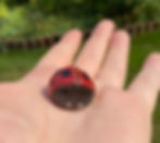 Lady bugs