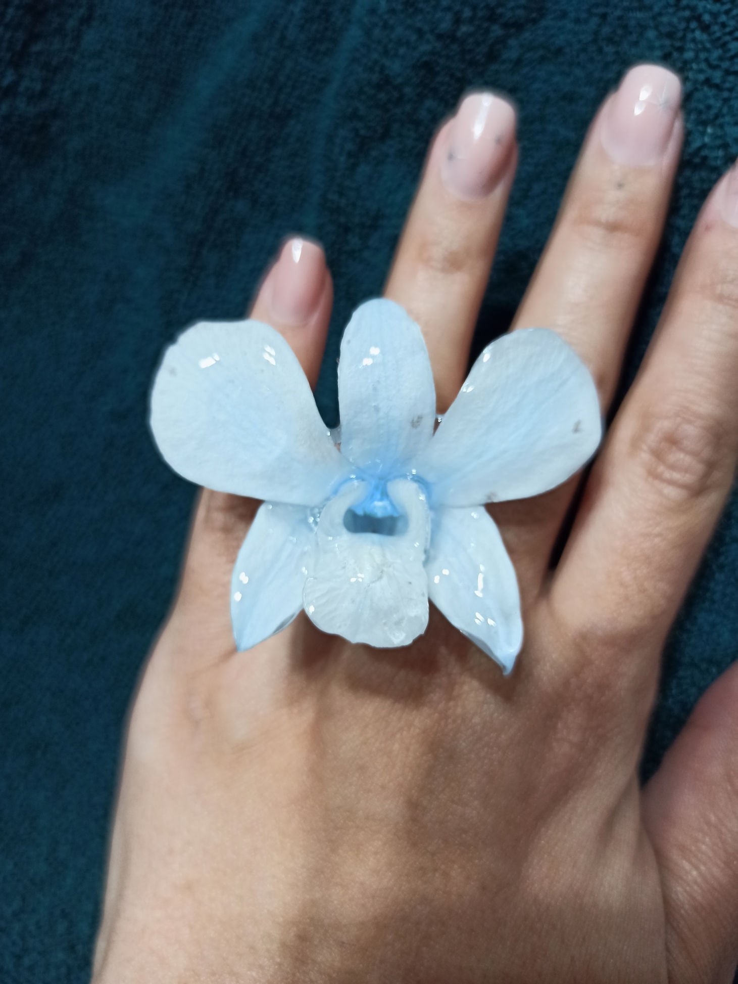Anillo de Orquídea Azul claro 001