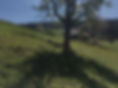 Haus-Nordwestsicht-steile-Weide-Frühling-2022_edited.jpg