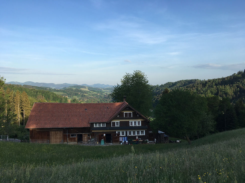 Hof-Ostansicht-von-oben-20-Mai-2022_edited.jpg