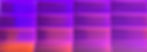 purpleback_edited.jpg