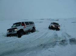 Icelandic Tundra