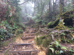 Mount Kinabalu