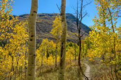 Zirkel Wilderness, NW Colorado