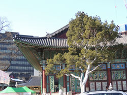 Seoul