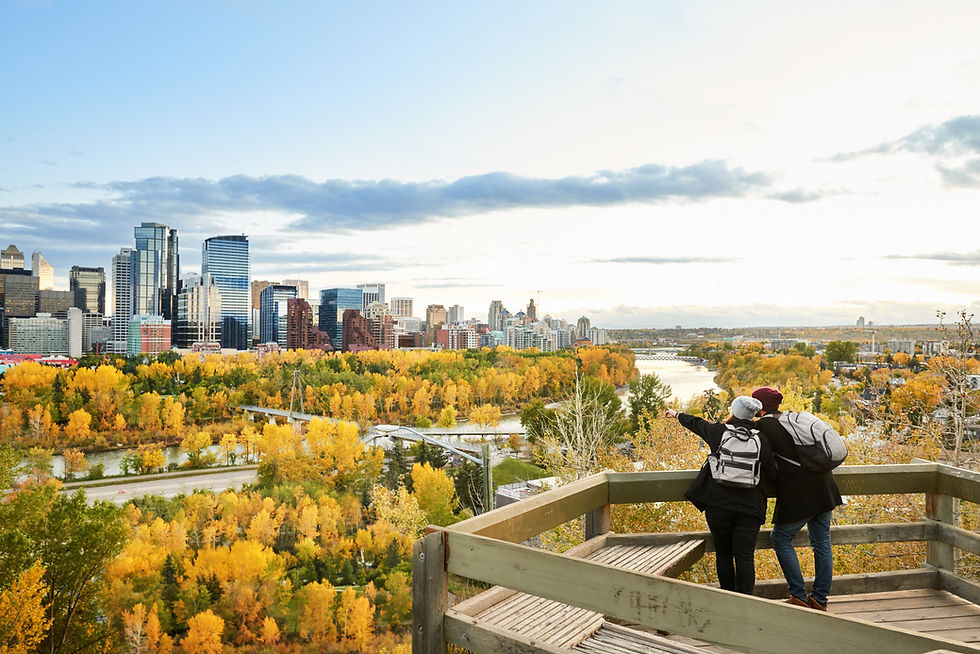 iStock-1179092260.jpg