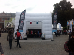 Typhus® aux Francofolies