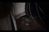 스크린샷 2026-01-18 오전 9.07.25 , video documentation, 2019