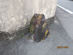 IMG_8636.JPG