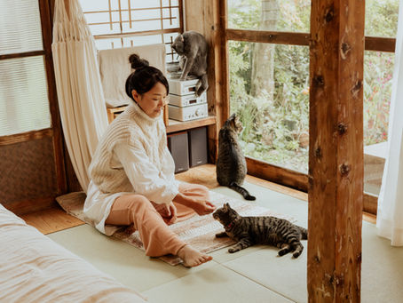 まるしっぽ邸の名前の由来