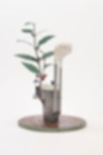 Title: story of a cup/Starbucks Coffee