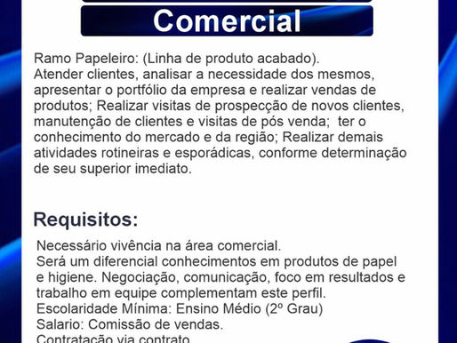 Representante Comercial