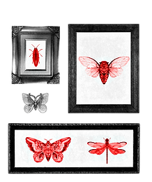 065_01.png