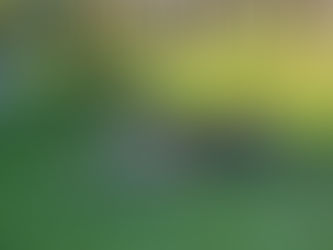 Auch unsere vierbeinigen Gäste fühlen sich im Apartment "Schäfchen" wohl