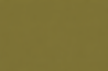 GreenPaperBG.png