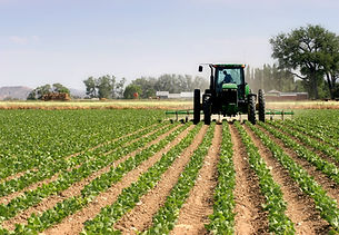 farmer-field.jpg