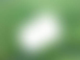 <시간은 그림과 같아 반은 물이 그리고 반은 내가 그린 *> 