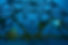 ALR0001005.jpg