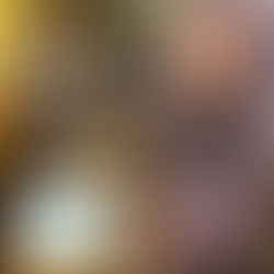 Newsletter 03-Recognition for Best Wedding Photographer