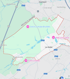 Capture d'écran 2024-11-11 155422.png