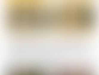 Match report 1st XI v Bootle 16-8-25