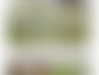 Match Report Ormskirk v Northern 6/5/23