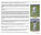 Match report 1st XI v Formby 30th May 26