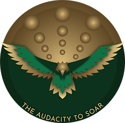 The Audacity To Soar