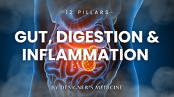 Gut, Digestion & Inflammation