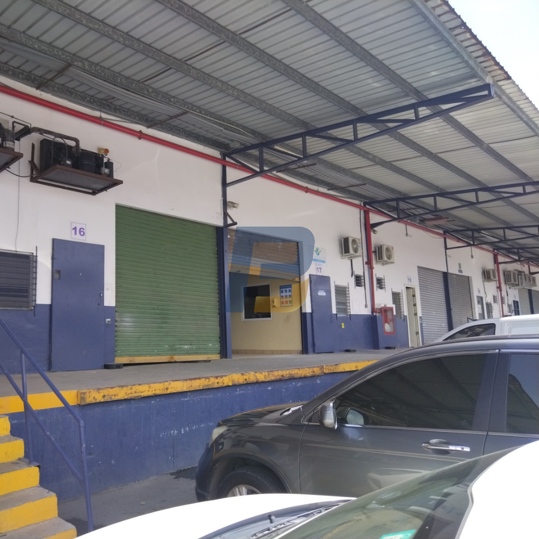 imagen BP