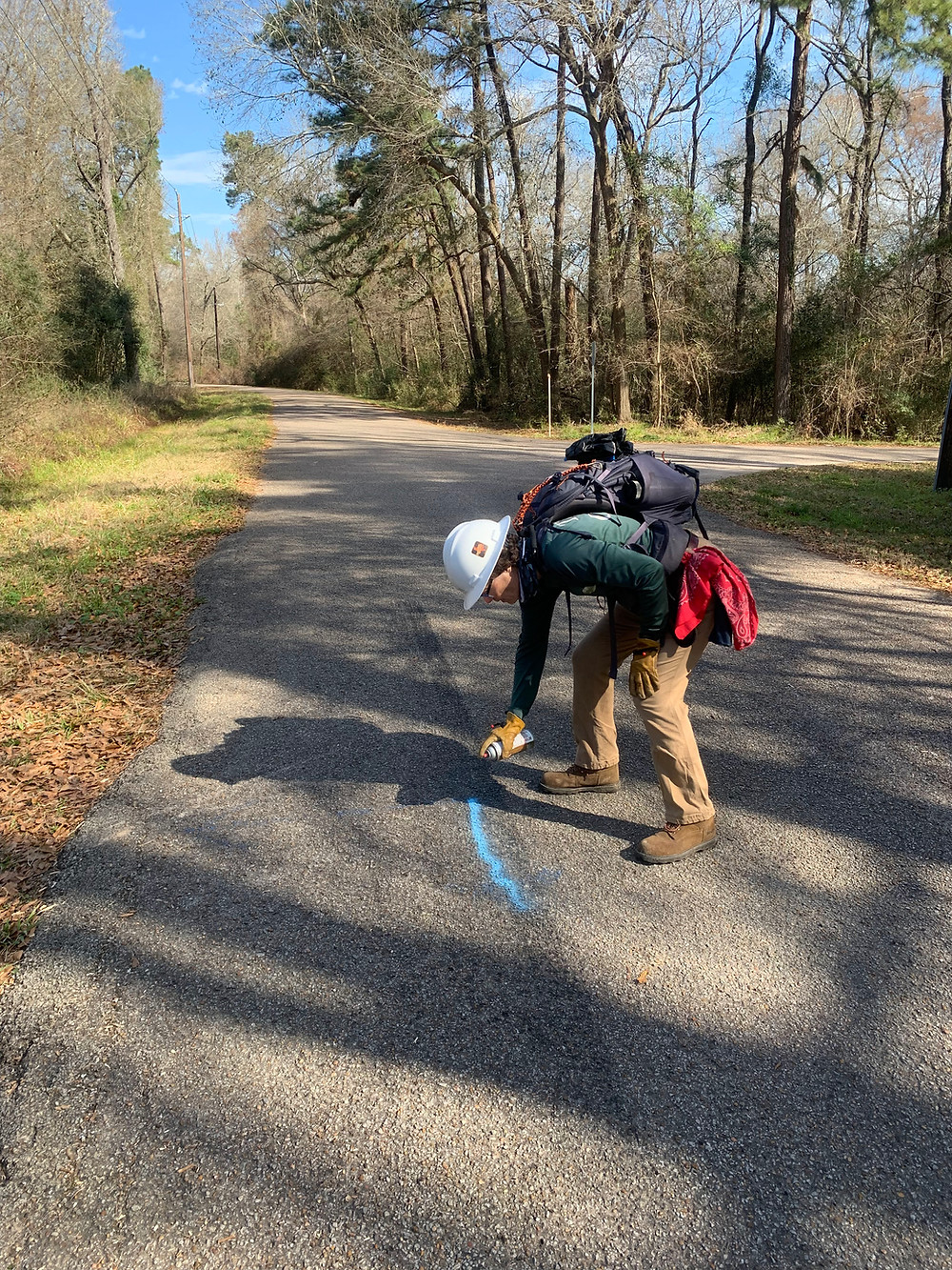 Diana Philpot marking a trail-road intersection with spray-paint