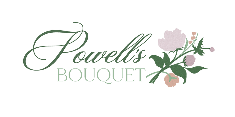 Primary Logo - Transparent Full Color.png