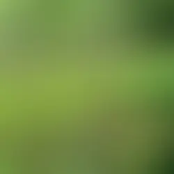 Bayou Land Conservancy Letter Protests Redefinition of “Waters of the U.S.”