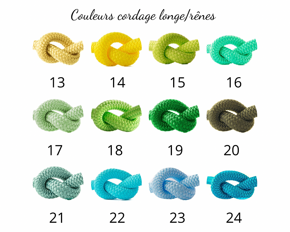 Miniature : Longe personnalisé