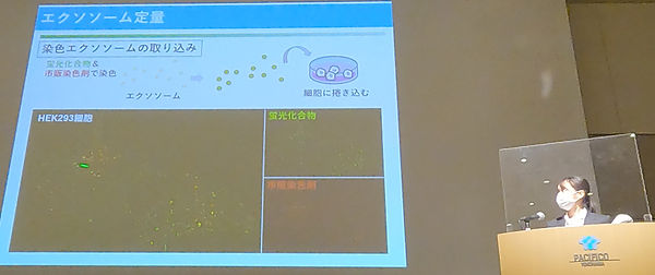 R3 Cite Japan.jpg