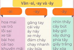 vielala-store-worksheet_edited