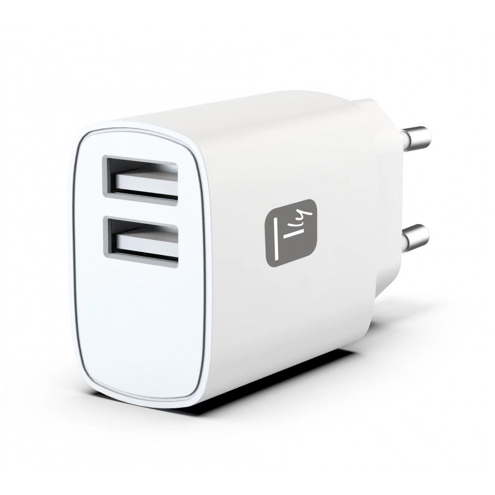 TECHly Caricabatterie 2xUSB 12W