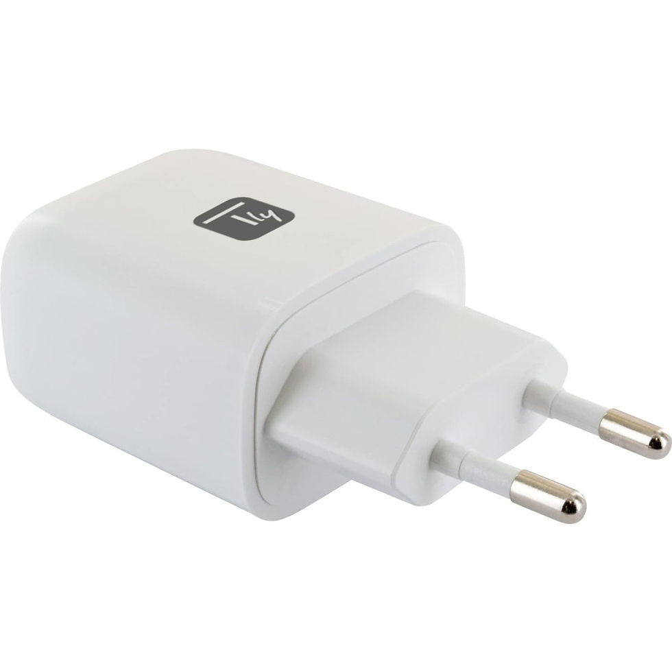 Miniatura: TECHly Caricabatterie USB Type-C 20W + USB A 18W