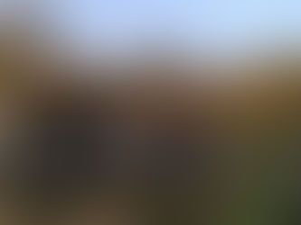 Stracił panowanie nad autem i uciekł. Gdy go znaleźli - był pijany i miał narkotyki