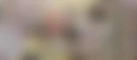 Uczyli się historii w filii bibliotecznej w Przyjmie