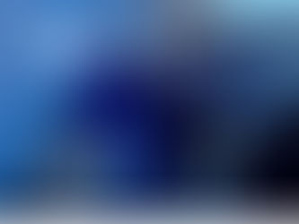 Szkoła podstawowa w Kawnicach na rzecz bezdomnych zwierząt